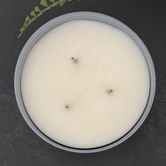 BBW Frozen Lake White Barn Bath & Body Works 3 Wick Candle - Picture 7 of 10